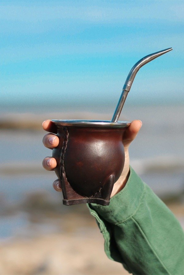 MATE CAMIONERO PREMIUM + BOMBILLA DE REGALO