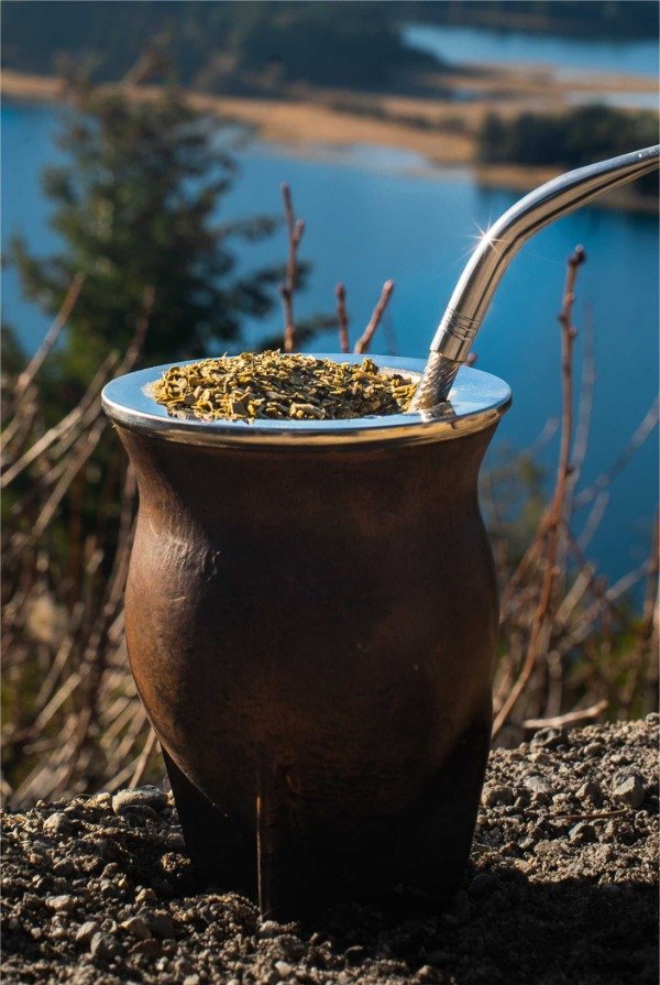 MATE CAMIONERO PREMIUM + BOMBILLA DE REGALO